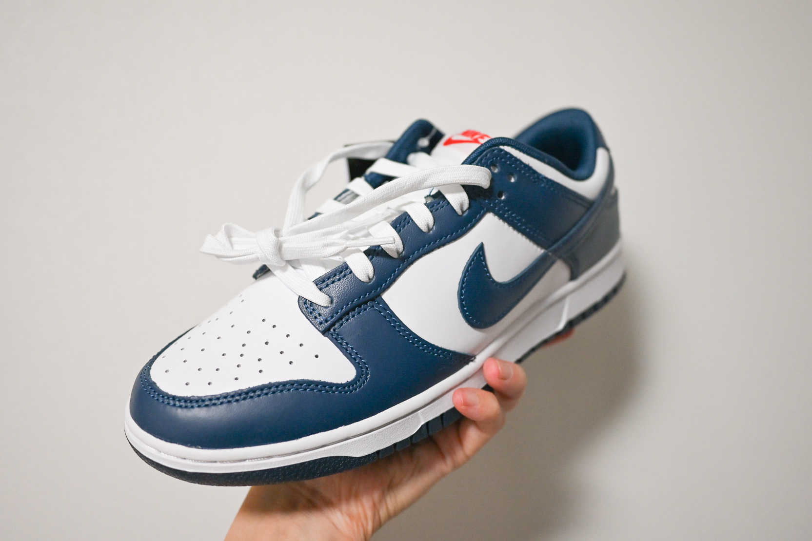 NIKE ダンクロー　バレリアンブルー 2/8発売｜Nike Dunk Low 